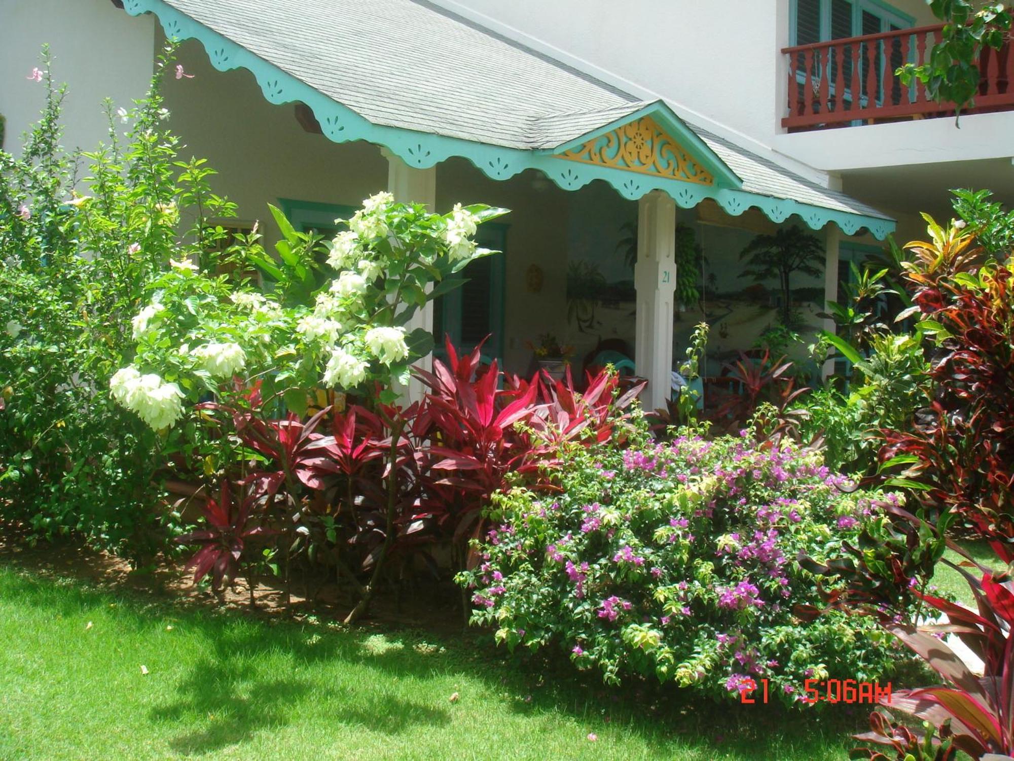 Playa Colibri Hotel Las Terrenas Bagian luar foto