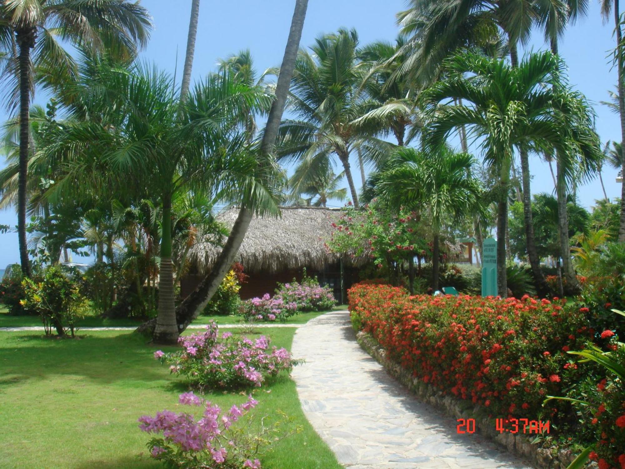 Playa Colibri Hotel Las Terrenas Bagian luar foto